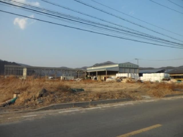 B000320202501300321351.jpg