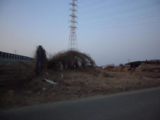 B000320202501300321762.jpg