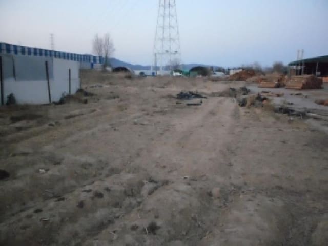 B000320202501300321761.jpg