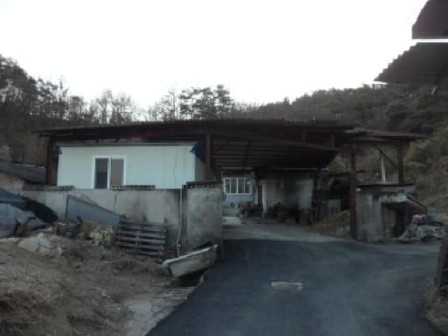 B000320202501300321931.jpg