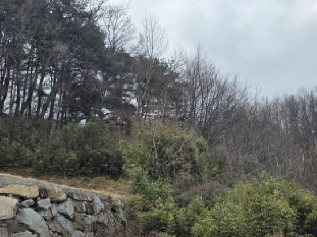 B000320202501300321971.jpg