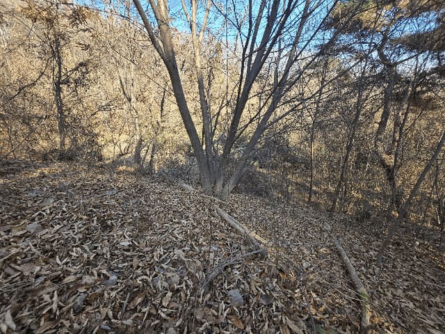 B000320202501300321973.jpg