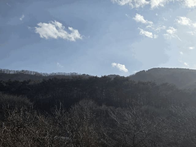 B000320202501300322234.jpg