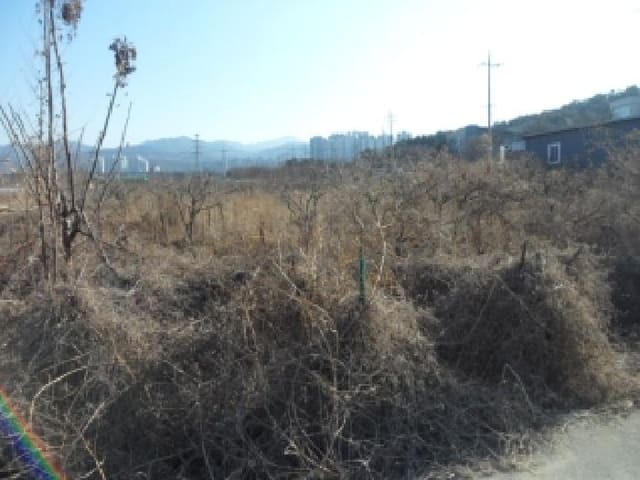B000320202501300322471.jpg