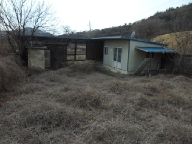 B000320202501300322484.jpg