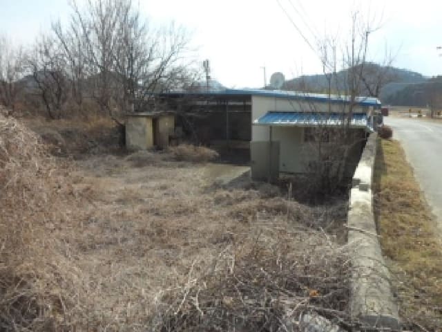B000320202501300322483.jpg