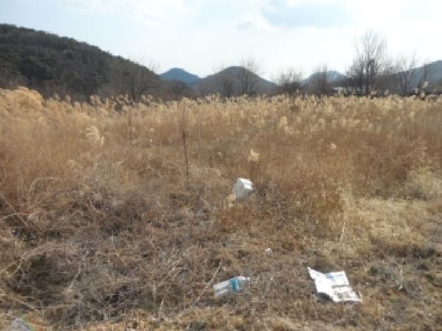 B000320202501300322482.jpg