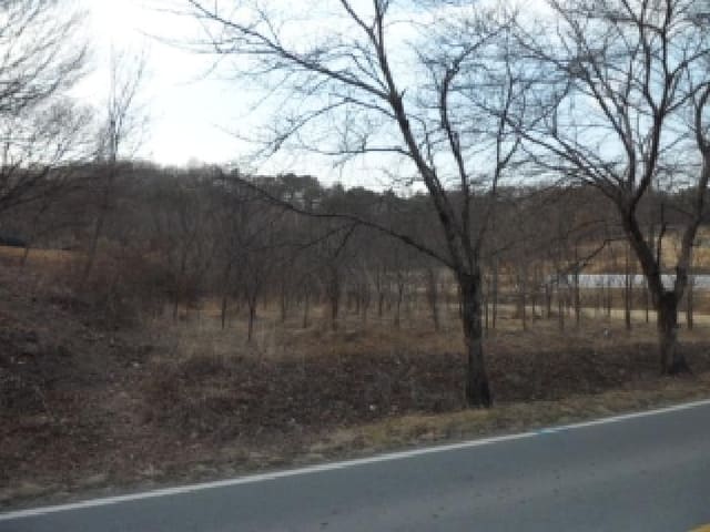 B000320202501300322564.jpg