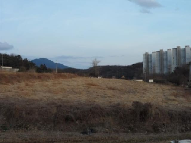 B000320202501300322831.jpg