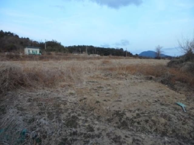 B000320202501300322834.jpg