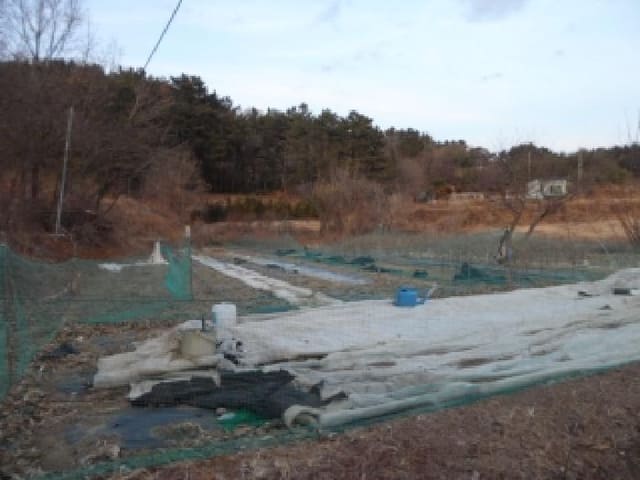 B000320202501300322832.jpg
