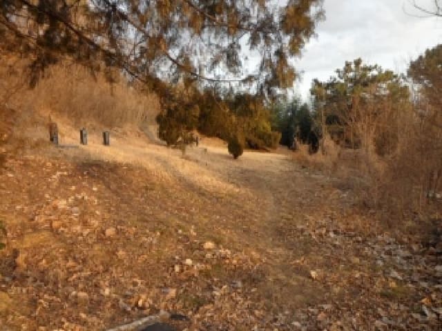B000320202501300322842.jpg