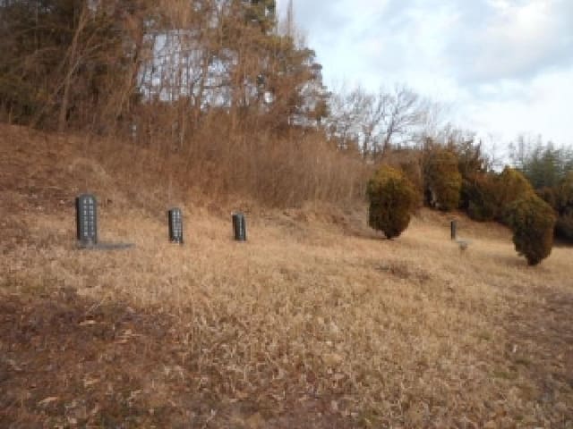 B000320202501300322844.jpg