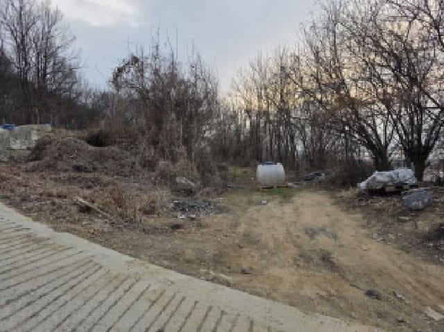 B000320202601300000011.jpg