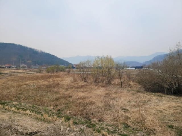 B000320202601300000442.jpg