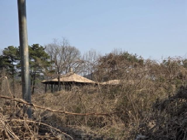B000320202601300030152.jpg