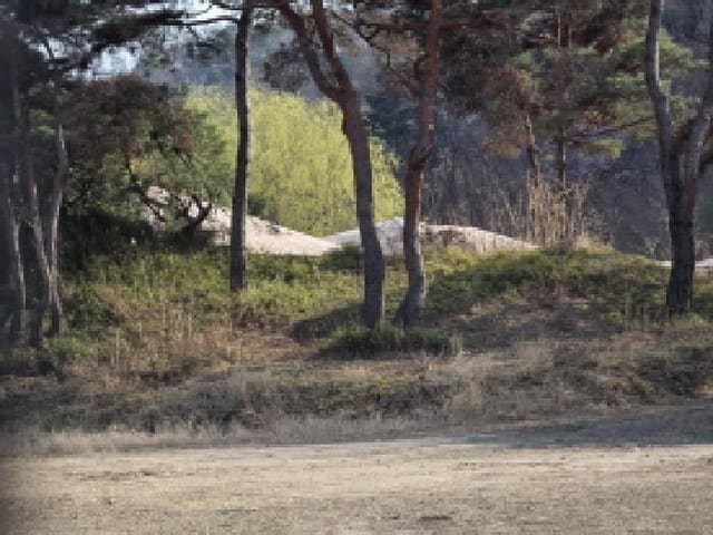 B000320202601300030154.jpg