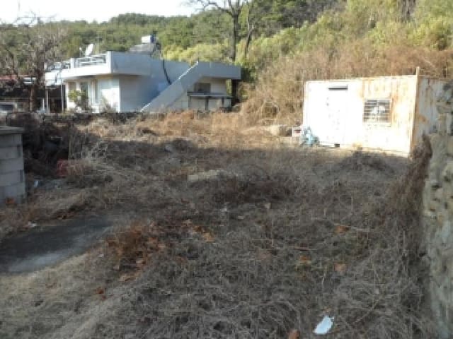 B000320202601300030182.jpg