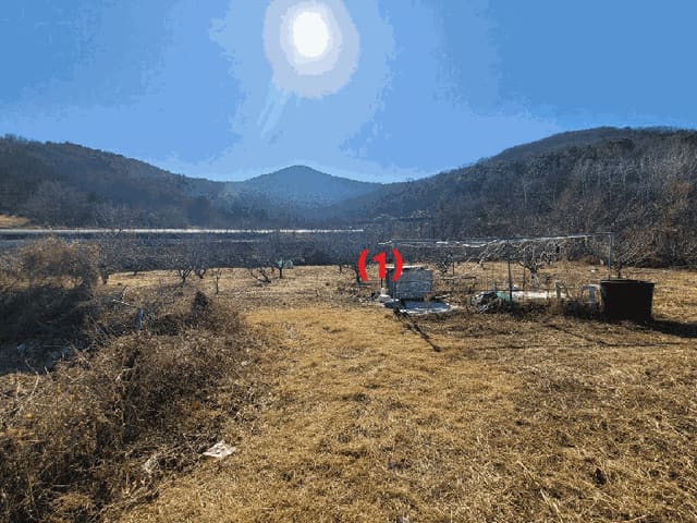 B000320202601300030214.jpg