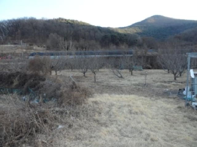 B000320202601300030211.jpg