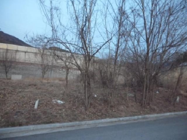 B000320202601300030561.jpg