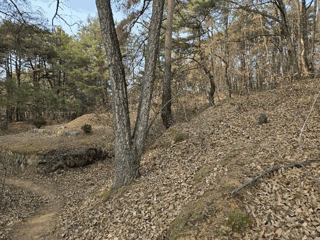 B000320202601300031124.jpg