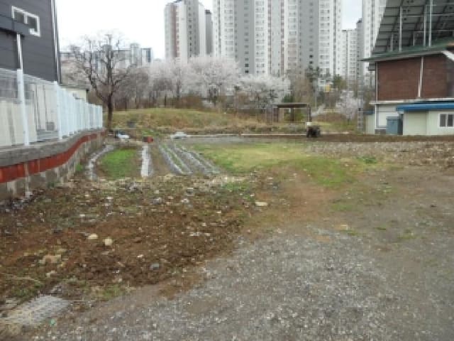 B000320202601300031233.jpg