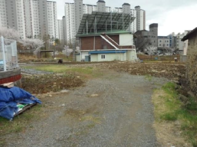B000320202601300031231.jpg