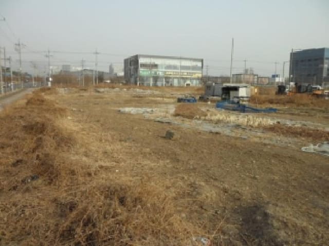 B000320202601300031382.jpg