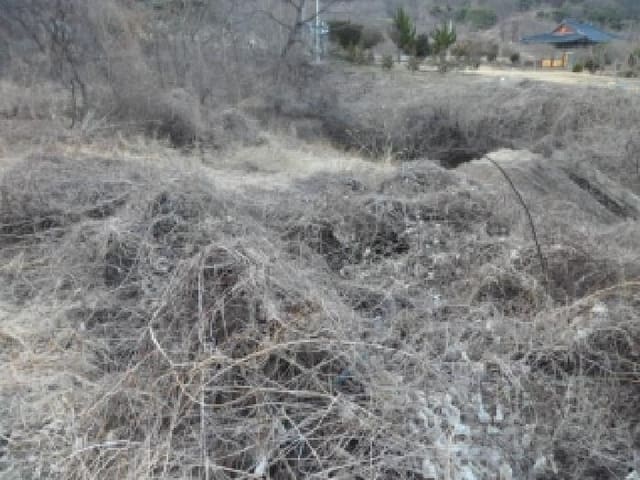 B000320202601300031532.jpg