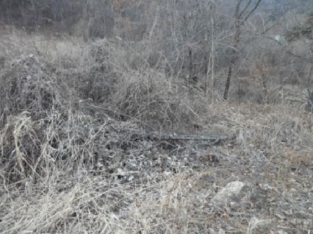 B000320202601300031533.jpg
