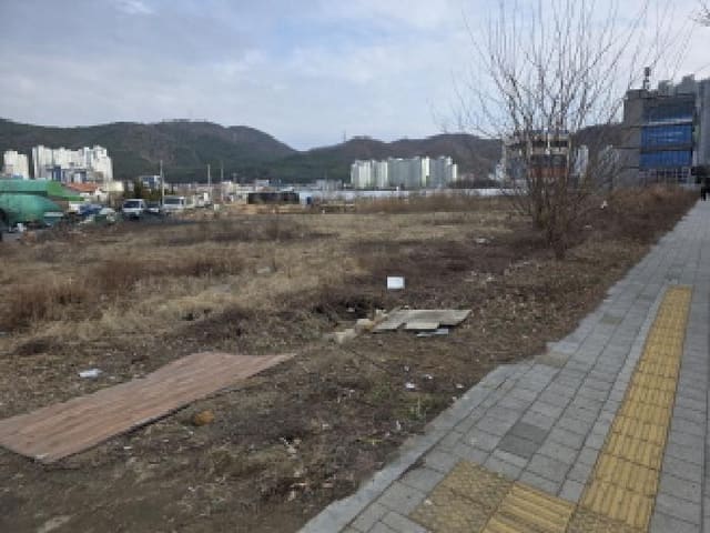 B000320202601300031811.jpg