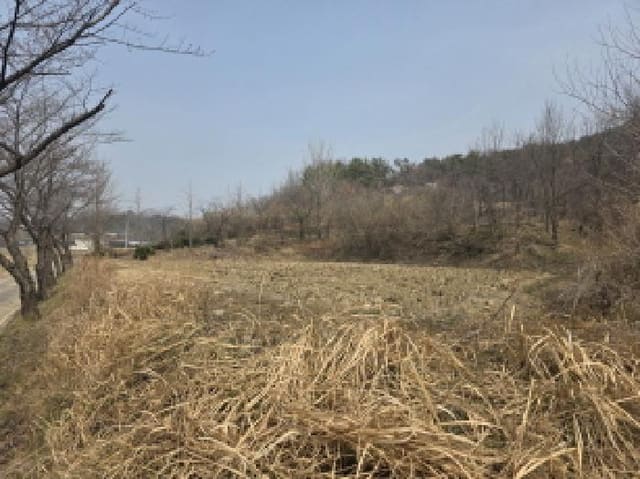 B000320202601300031823.jpg