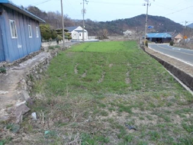 B000320202601300032261.jpg