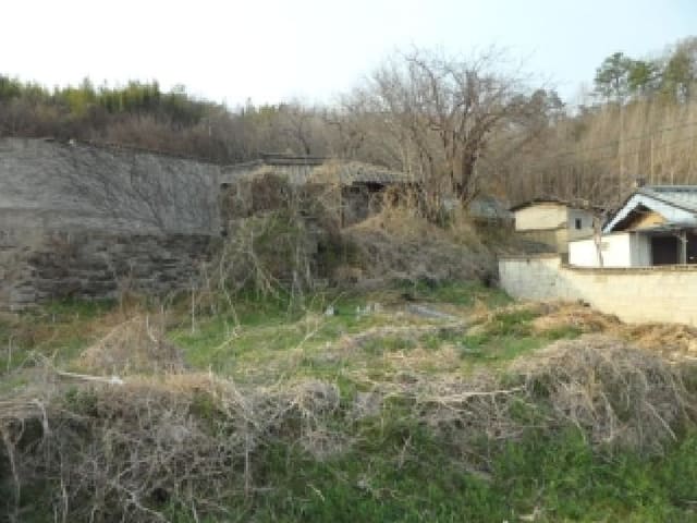 B000320202601300032314.jpg
