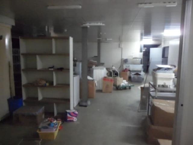 B000320202601300032373.jpg