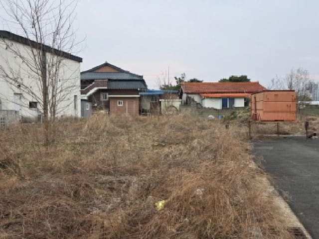B000320202601300032791.jpg