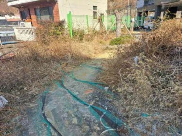 B000410202401300064332.jpg