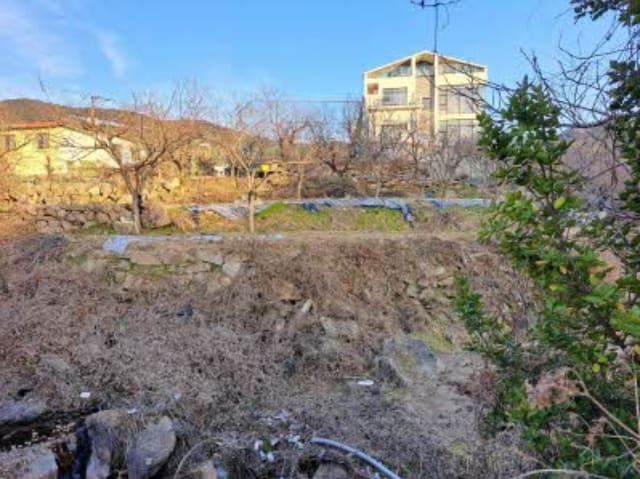B000410202401300664662.jpg