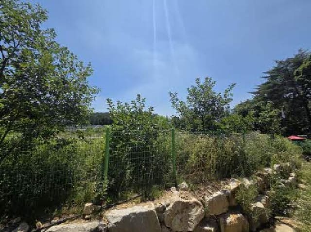 B000410202501300023393.jpg