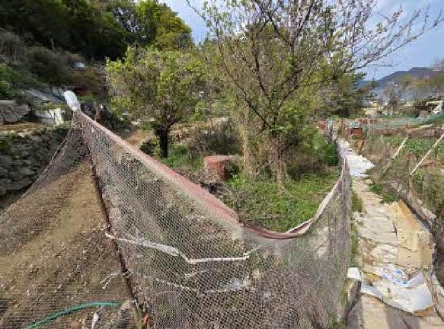 B000410202501300216634.jpg