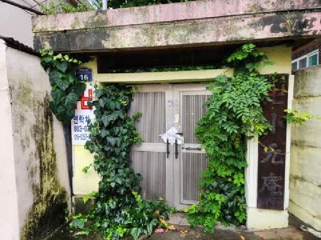 B000410202501300224464.jpg