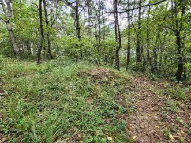 B000410202501300224541.jpg