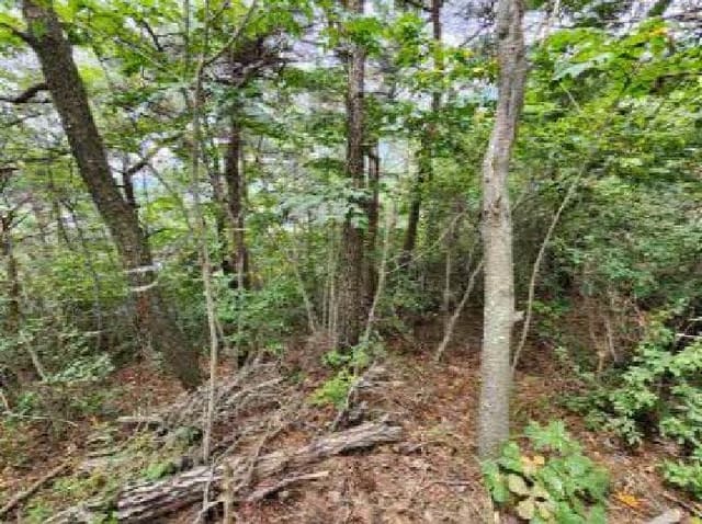 B0004102025013002245411.jpg