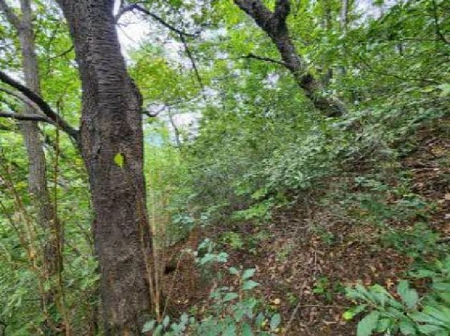 B000410202501300224549.jpg
