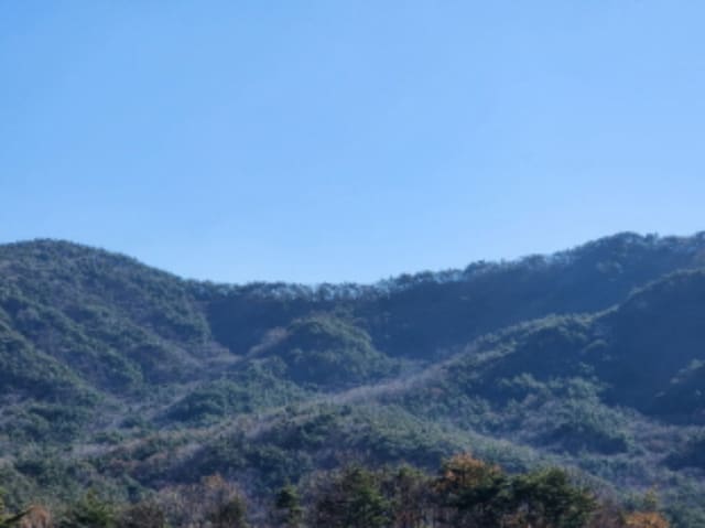 B000411202301301110721.jpg
