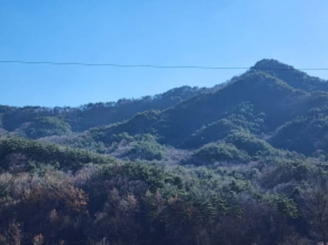 B000411202301301110722.jpg