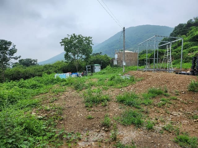B000411202401300056554.jpg