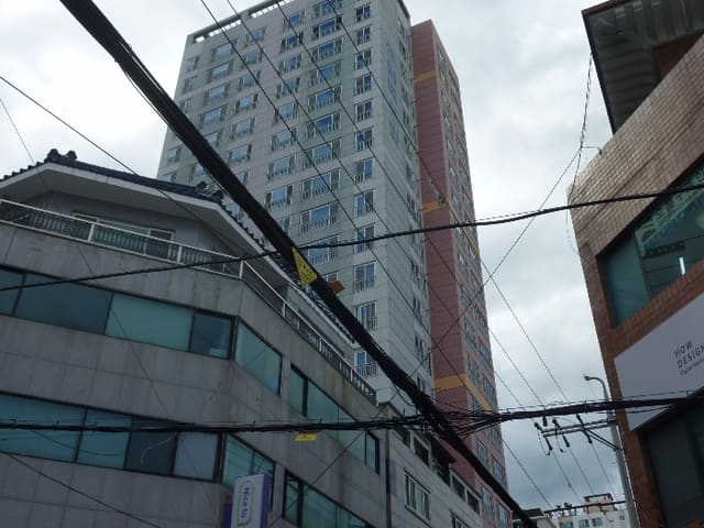B000411202401301133893.jpg