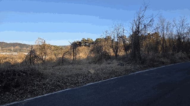 B000411202401301180494.jpg